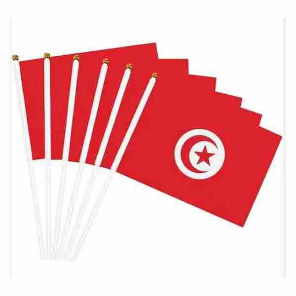 Drapeau avec baton 30*45cm