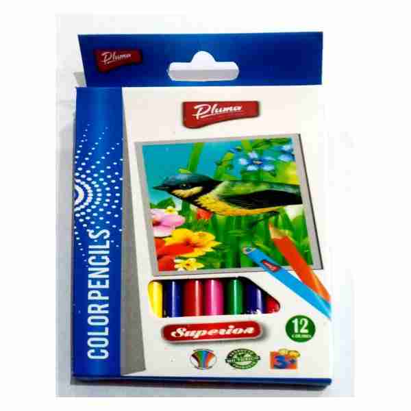 Crayon Couleur de 12/9 Pluma