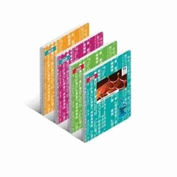 Cahier TP Spiral GM 96p 5/5 Aladin