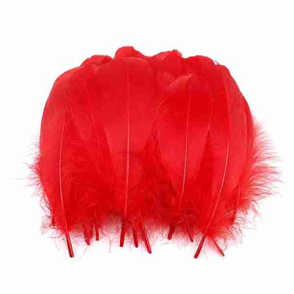 Plume bricolage rouge